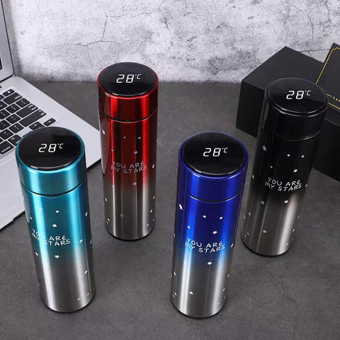 Smart LED Stainless Steel Insulated Flask Bottle