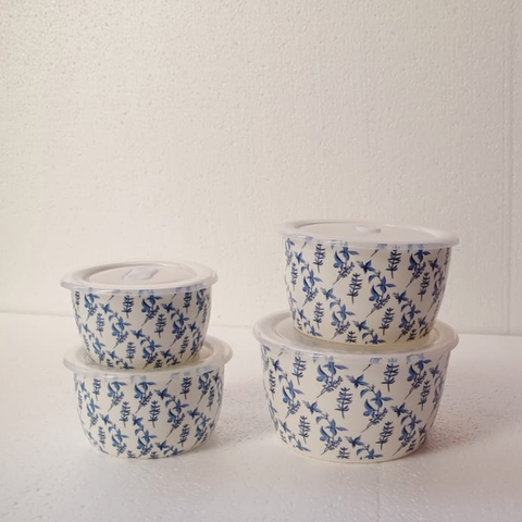 4Pcs Prime Ceramic Sealed Bowls